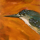 Upper Nile Kingfisher